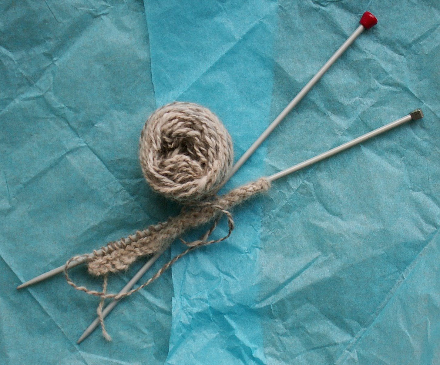 [cat+yarn+knitting+in+progress.jpg]