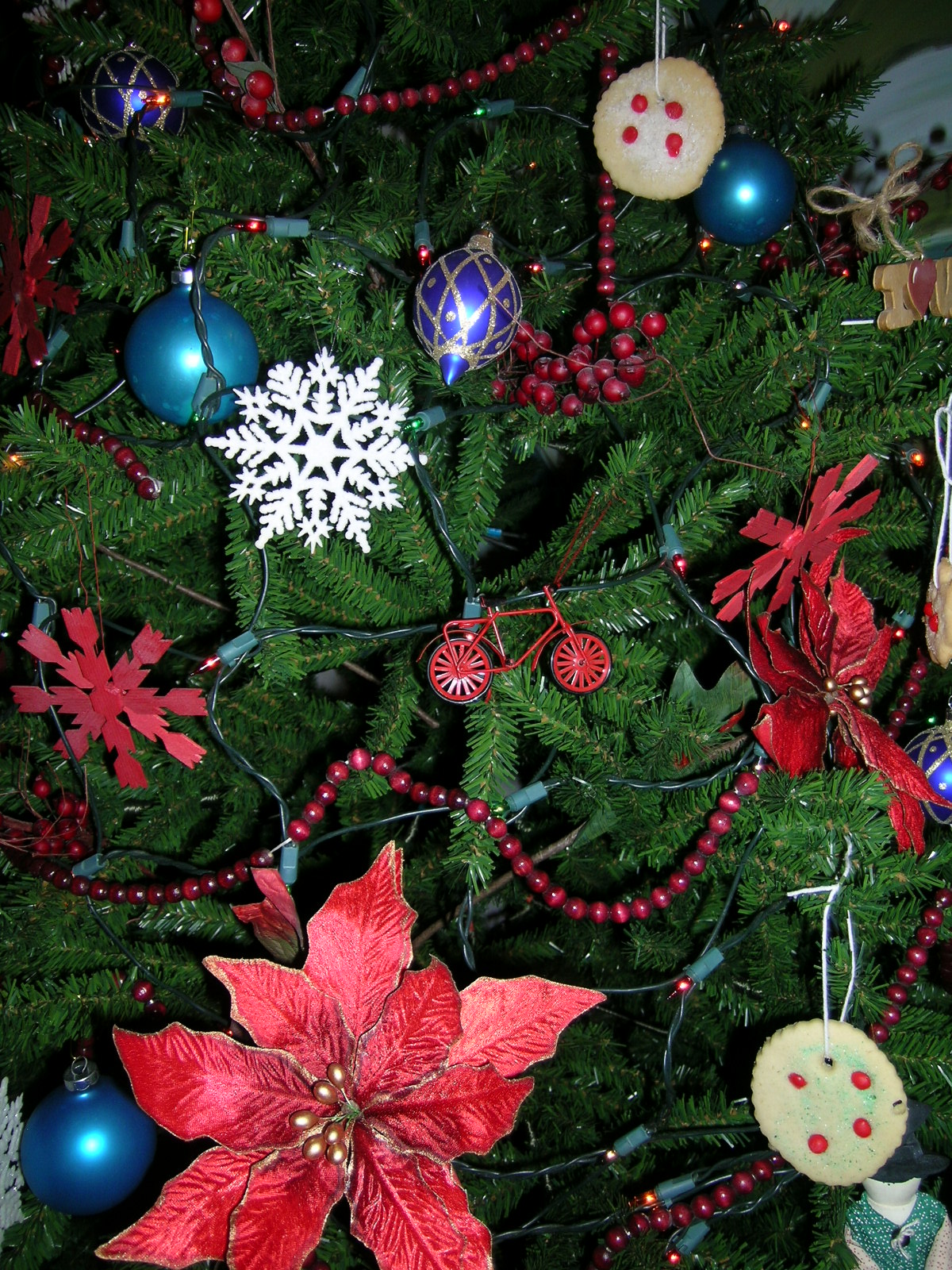 [Christmas+tree+016.jpg]