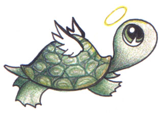 [Little_Turtle_Fly_Away.jpg]