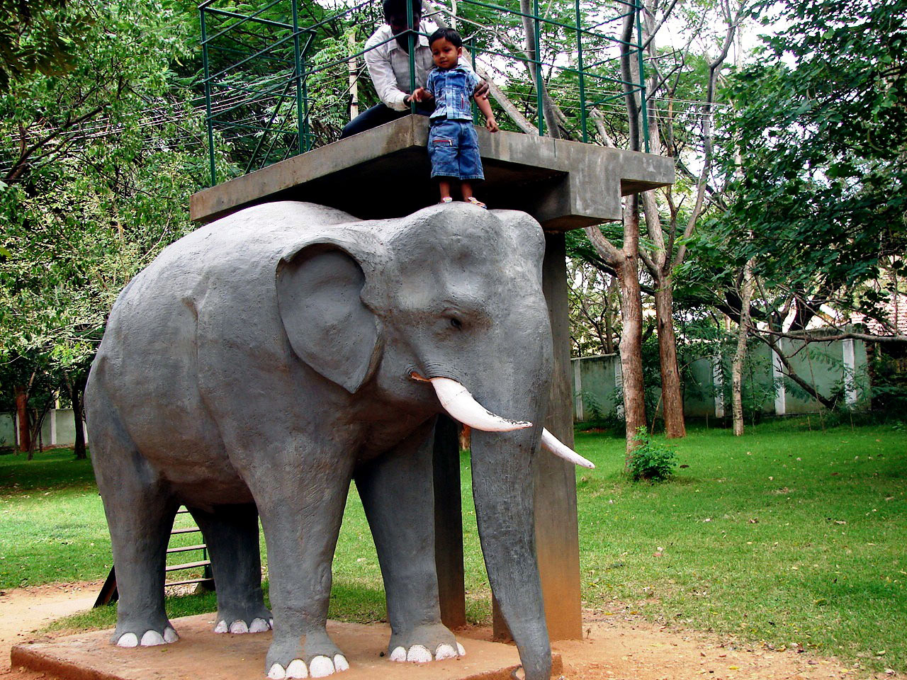 [kid-on-elephant.JPG]