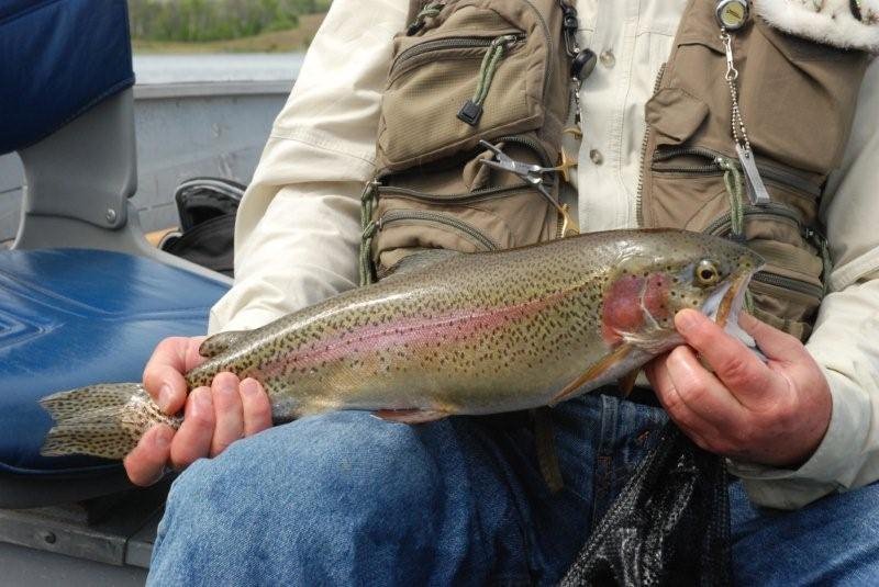 [2008+fishing+Winnipeg+05.bmp]