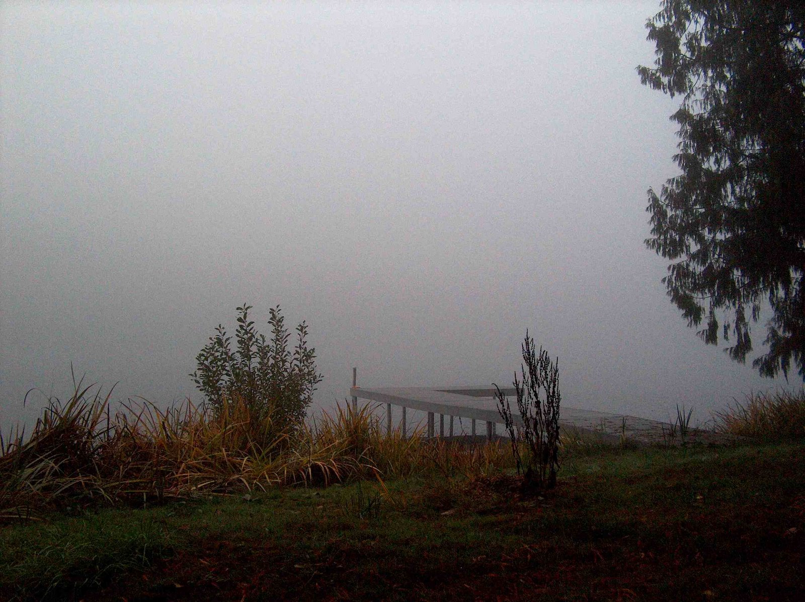 [Lake+in+the+fog.jpg]