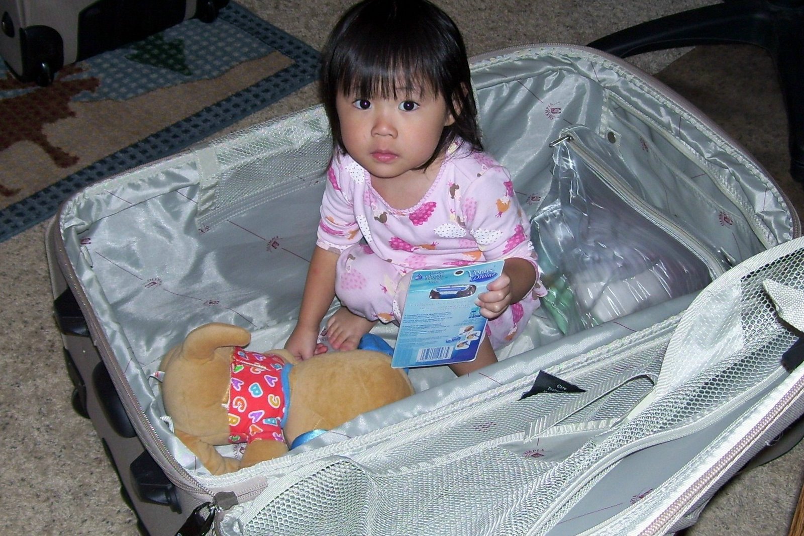 [Zoey+in+suitcase.jpg]