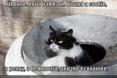 [cat-trash-economy.jpg]