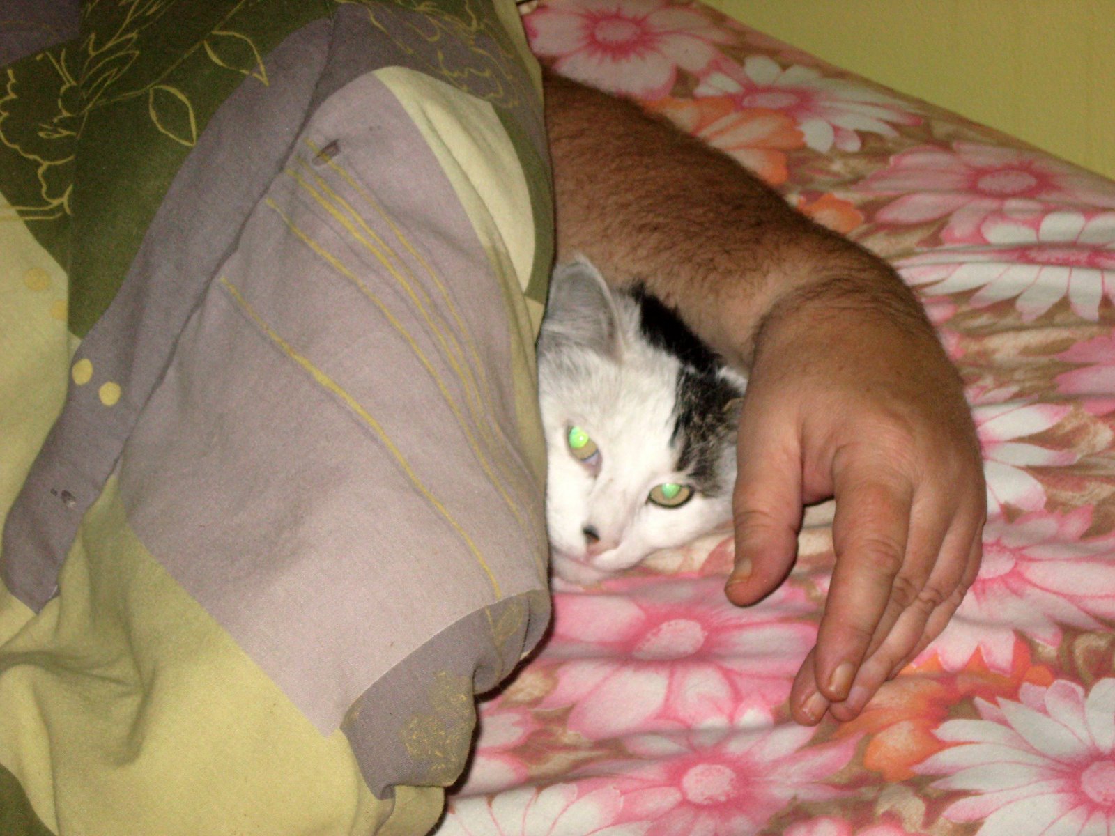 [Sleeping+with+the+Cat+03.JPG]