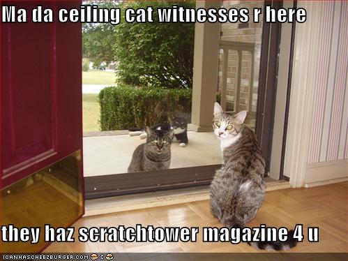 [ceiling-cat-witnesses.jpg]
