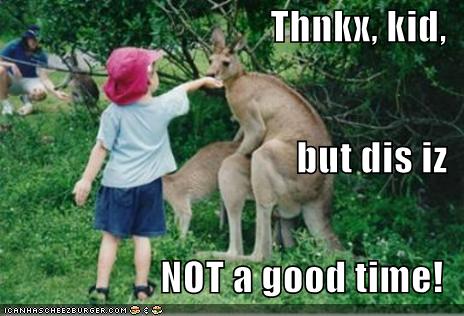 [funny-pictures-kid-makes-offer-to-coitus-kangaroos.jpg]