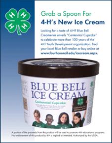 Bluebell ice cream: 4-H Centennial Cupcake