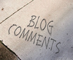 [blog+comments.jpg]