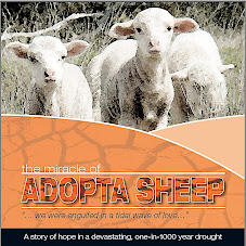 SHEARING AT 'UAMBY - Adopta Sheep DVD