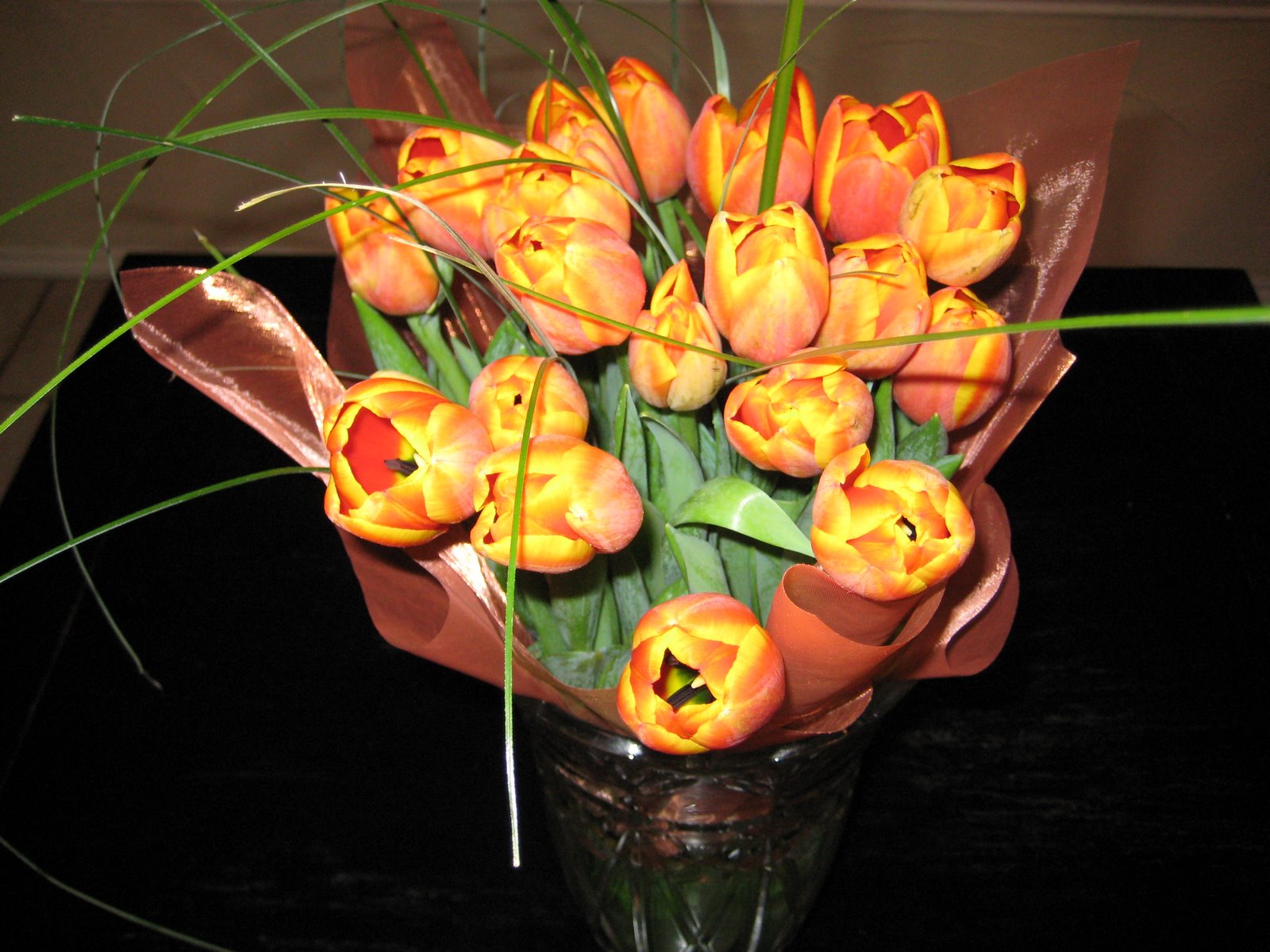 [tulips+001.jpg]