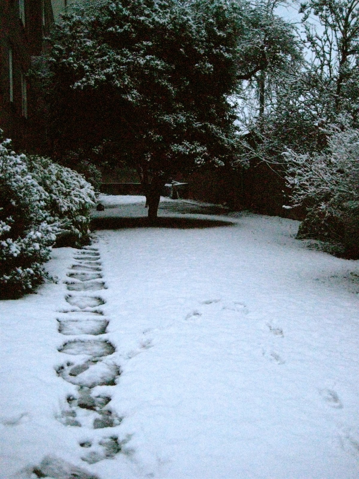 [snowy+path.jpg]