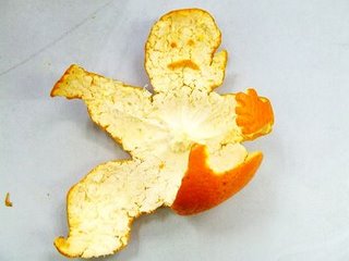 [orange+6.jpg]
