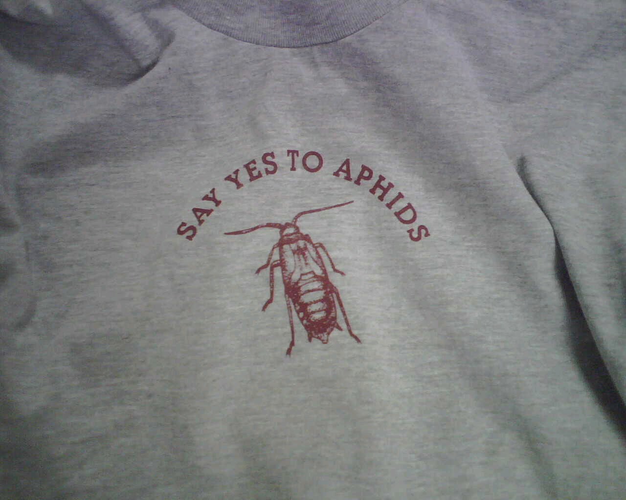 [yes+to+aphids.bmp]