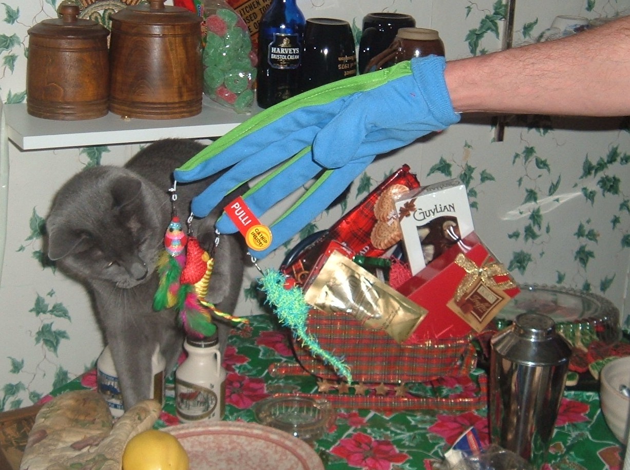 [Kitty+Glove.JPG]