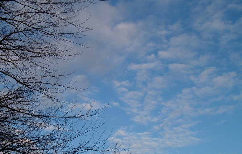 [Blue+Skies+january.jpg]