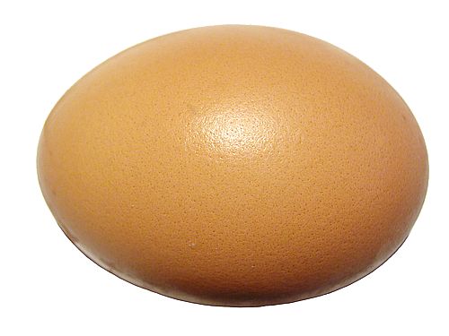 [egg.jpg]