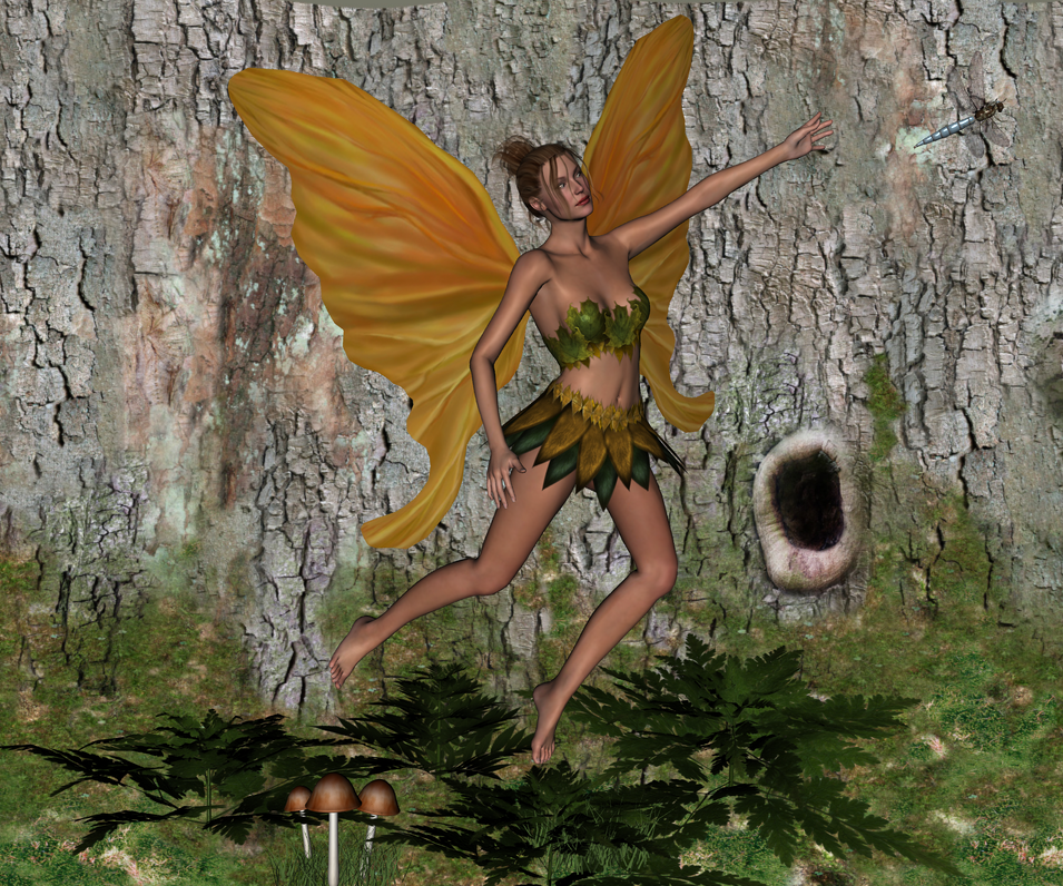 Fern Fairy : Follow that Dragonfly