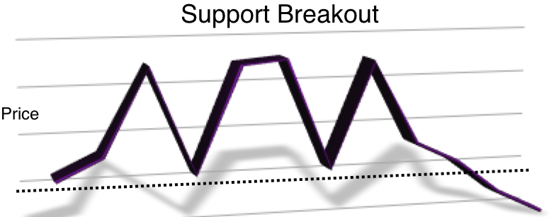 [Support+breakout.jpg]