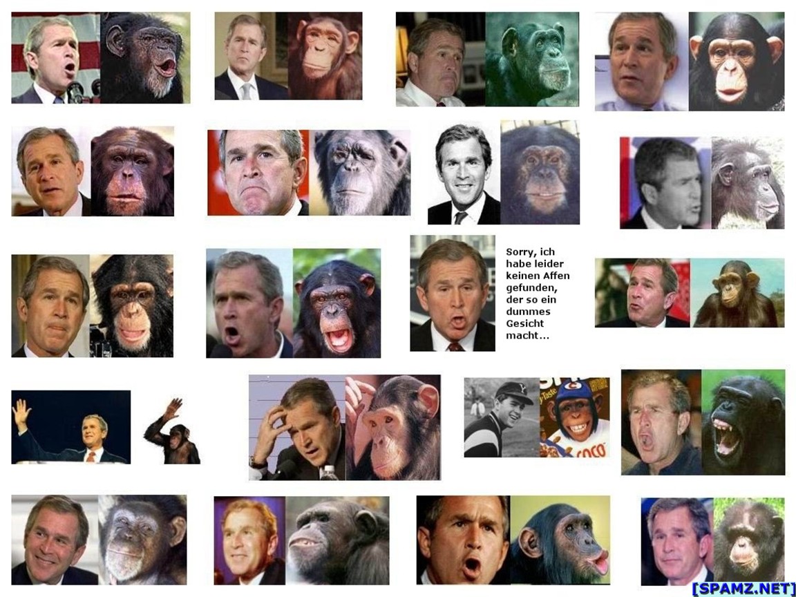[the+chimp+and+the+monkey.jpg]