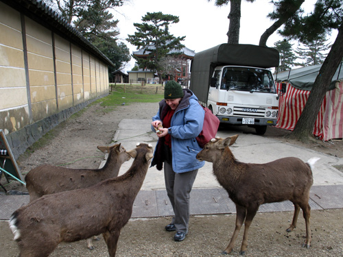 [126_2648-Japan-Day2-deer.jpg]