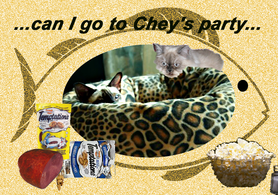 [Cheys+Party.jpg]