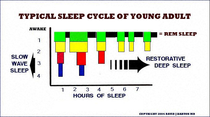[sleep+graph1.jpg]