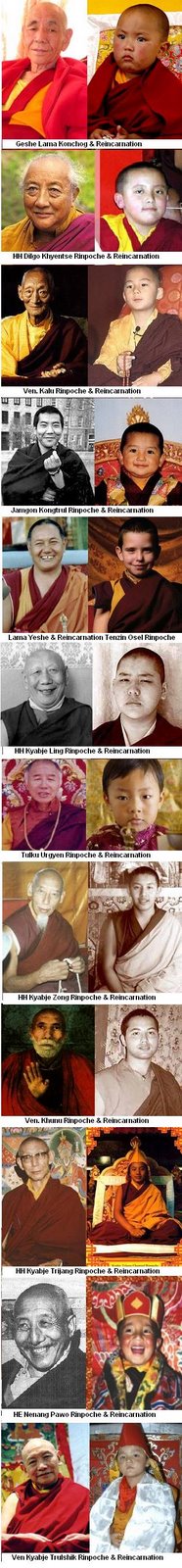 [Rinpoches+Incarnations.JPG]