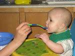 First Solid Foods