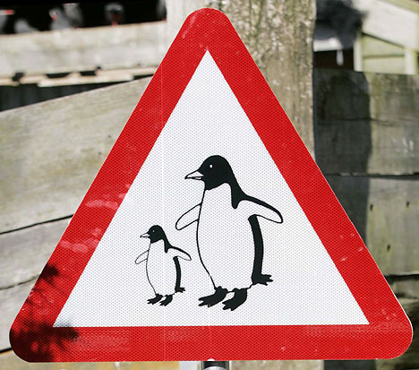[penguins3.jpg]