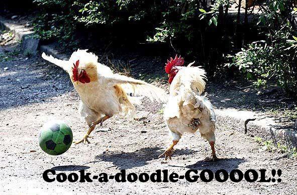 [chicken-soccer.jpg]