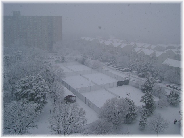 [Snow+February+25+2007+IV.jpg]