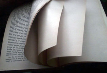 [350px-Blank_page_intentionally_end_of_book.jpg]