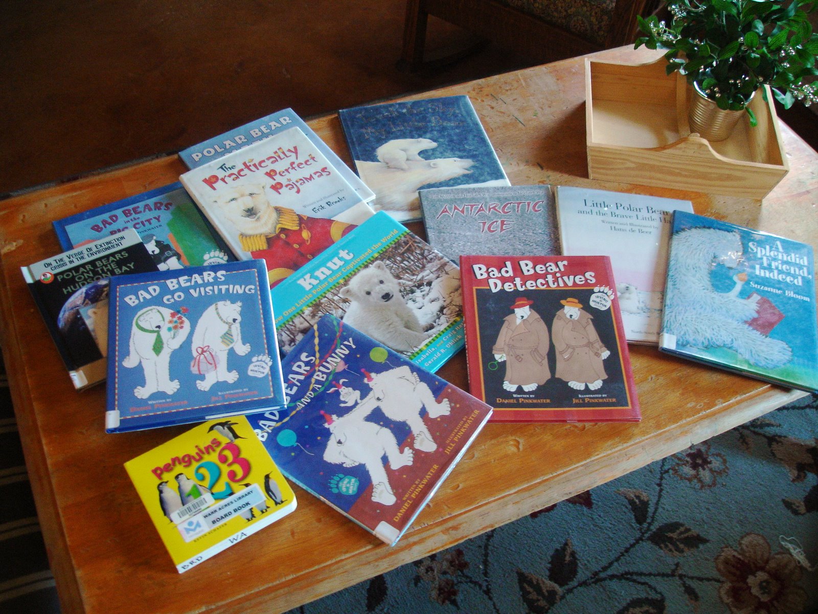 [polar+bear+books.jpg]