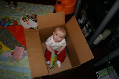 Playing in a box