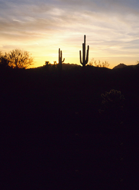 [Western_sunset.jpg]