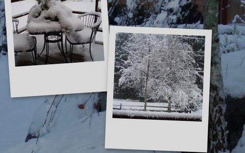 [snow+collage2.jpg]