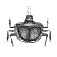 [insect04.gif]