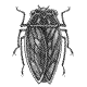 [insect05.gif]