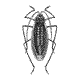 [insect07.gif]
