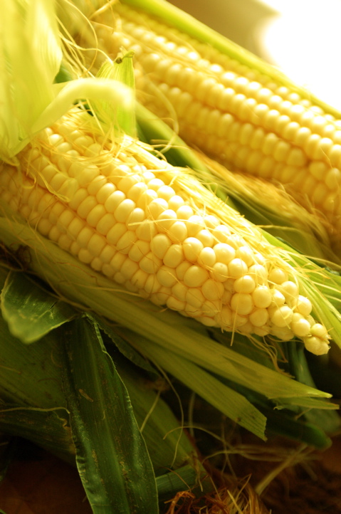 [Corn.jpg]