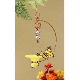 [butterfly+feeder.jpg]
