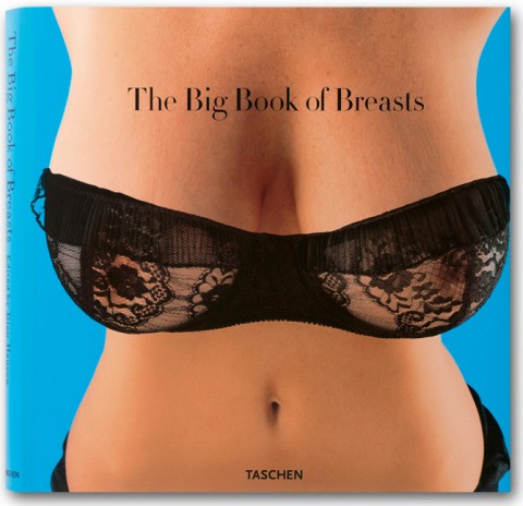 [cover_fo_big_book_of_breasts_0705301723_id_11494.jpg]