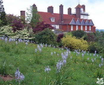 [w-standen-southfront_lawn-gallery_picture.jpg]
