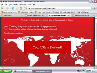 [China+Blocked+URL.jpg]