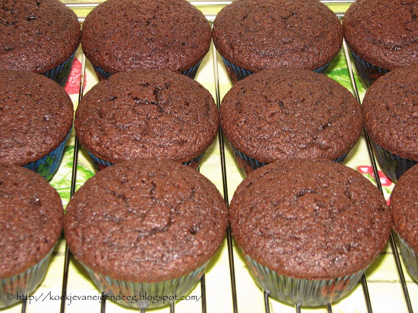 [dark+chocolate+cupcakes+1.JPG]