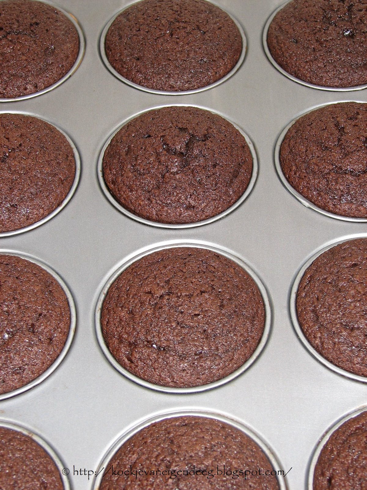 [dark+chocolate+cupcakes+4.JPG]