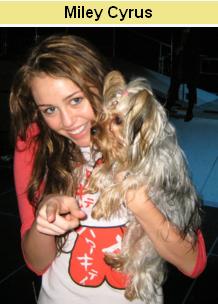 [Miley+Cyrus.JPG]