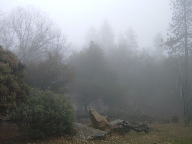 [Foggy+Rocks.JPG]
