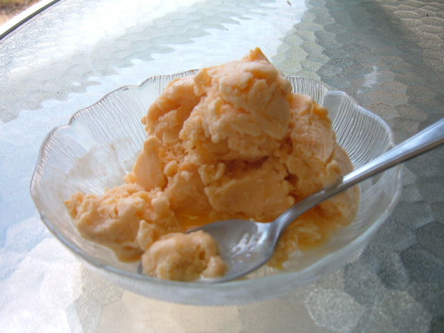 [Apricot+Ice+Cream.JPG]